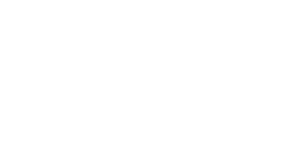 Irelan pienso para perros y gatos